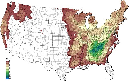 2tax26_Trilliums.png 2tax26_Trilliums.png